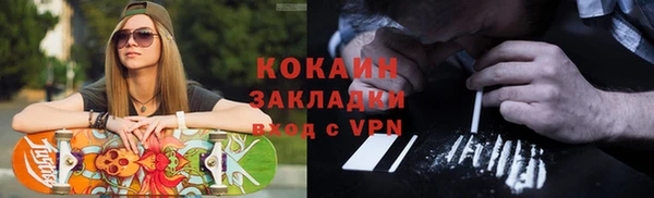 гашик Каменка