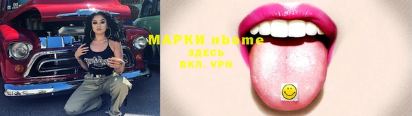 гашик Каменка
