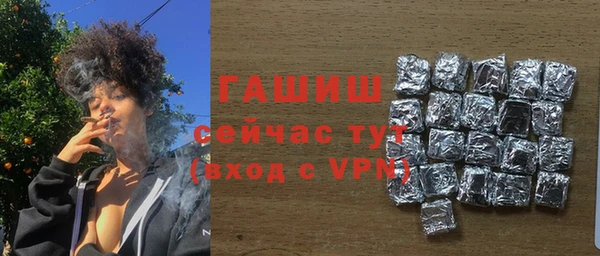 гашик Каменка