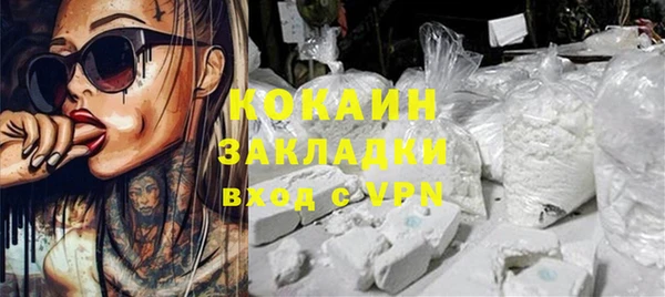 гашик Каменка