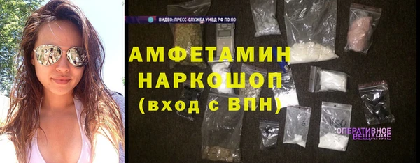 шишки Инсар
