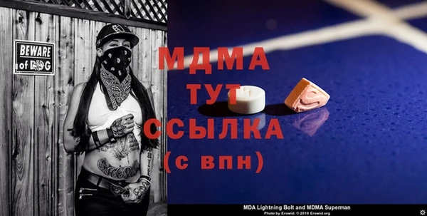 гашик Каменка