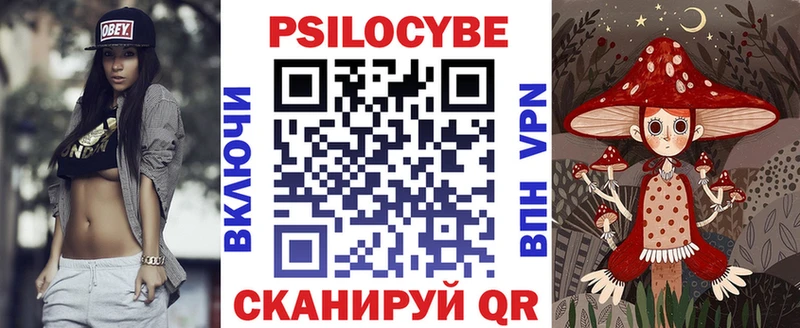 Купить где  Людиново  Псилоцибиновые грибы Psilocybe 