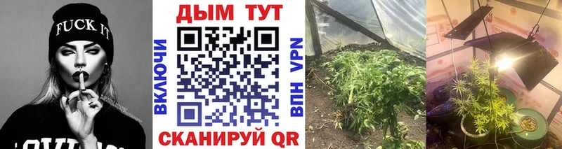 МАРИХУАНА гибрид  Купить закладки  Людиново 